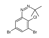 tert-butyl-(3,5-dibromo-2-chlorophenyl)diazene结构式