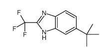 6-tert-butyl-2-(trifluoromethyl)-1H-benzimidazole结构式