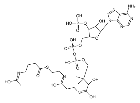 S-[2-[3-[[(2R)-4-[[[(2R,3S,4R,5R)-5-(6-aminopurin-9-yl)-4-hydroxy-3-phosphonooxyoxolan-2-yl]methoxy-hydroxyphosphoryl]oxy-hydroxyphosphoryl]oxy-2-hydroxy-3,3-dimethylbutanoyl]amino]propanoylamino]ethyl] 4-acetamidobutanethioate结构式