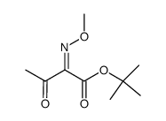 2-Methoxyimino-3-oxobutyric acid tert-butyl ester结构式
