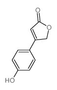 2(5H)-Furanone,4-(4-hydroxyphenyl)-结构式