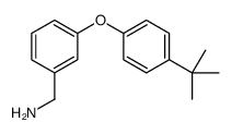 3-(4-TERT-BUTYL-PHENOXY)BENZYLAMINE structure