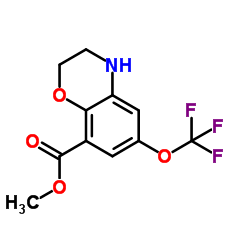 Methyl 6-(trifluoromethoxy)-3,4-dihydro-2H-1,4-benzoxazine-8-carboxylate结构式