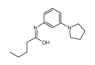 N-[3-(1-Pyrrolidinyl)phenyl]pentanamide结构式