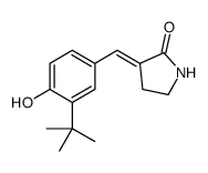 3-[(3-tert-butyl-4-hydroxyphenyl)methylidene]pyrrolidin-2-one结构式