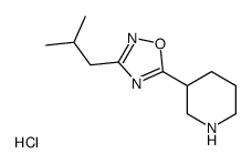 3-(3-Isobutyl-1,2,4-oxadiazol-5-yl)piperidine hydrochloride (1:1) Structure