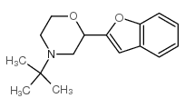 2-(2-苯并呋喃)-4-叔丁基吗啉结构式