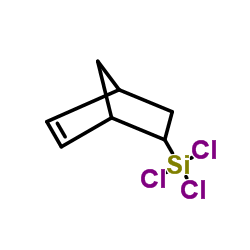 Bicyclo[2.2.1]hept-5-en-2-yl(trichloro)silane picture