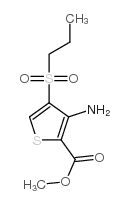 METHYL 3-AMINO-4-(N-PROPYLSULFONYL)THIOPHENE-2-CARBOXYLATE picture