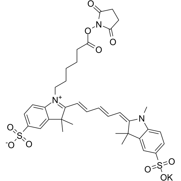 磺基花青5 NHS酯图片