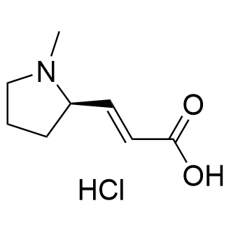 (R,E)-3-(1-甲基吡咯烷-2-基)丙烯酸盐酸盐结构式