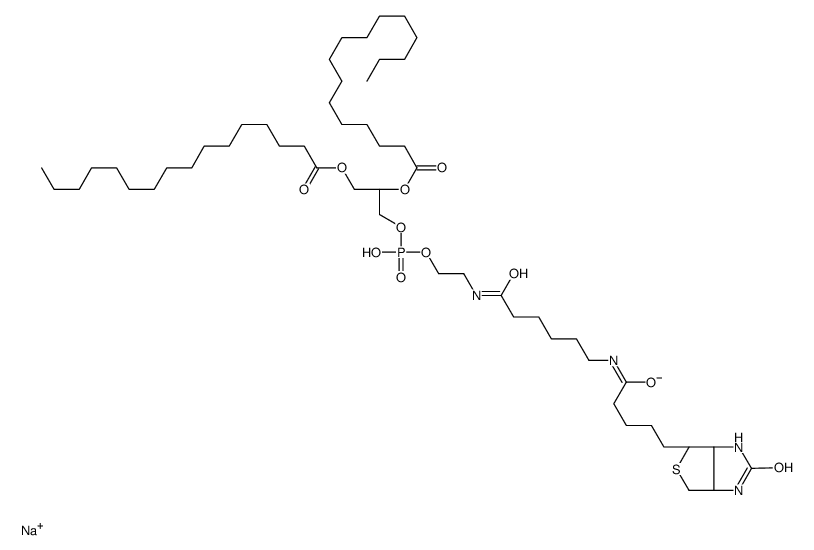 1,2-二棕榈酰基-sn-甘油-3-磷酸乙醇胺-N-(帽生物素)(钠盐)图片
