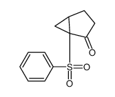 1-(benzenesulfonyl)bicyclo[3.1.0]hexan-2-one结构式