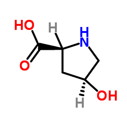 cis-4-hydroxy-L-proline picture