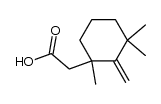 1,3,3-trimethyl-2-methylenecyclohexaneacetic acid Structure