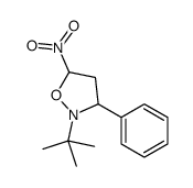 2-tert-butyl-5-nitro-3-phenyl-1,2-oxazolidine Structure