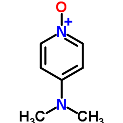 4-Dimethylaminopyridine N-Oxide picture