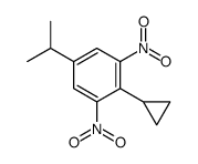 2-cyclopropyl-1,3-dinitro-5-propan-2-ylbenzene Structure