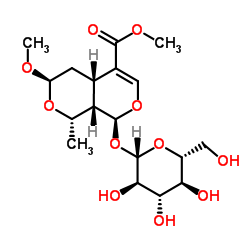 7-O-Methylmorroniside Structure