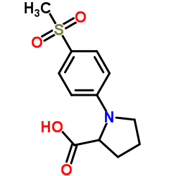 1-[4-(METHYLSULFONYL)PHENYL]PYRROLIDINE-2-CARBOXYLIC ACID picture