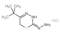 (5-tert-butyl-6H-1,3,4-thiadiazin-2-yl)hydrazine,hydrochloride Structure