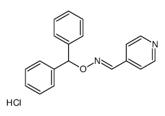 (E)-N-benzhydryloxy-1-pyridin-4-ylmethanimine,hydrochloride结构式