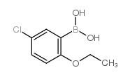 5-CHLORO-2-ETHOXYPHENYLBORONIC ACID picture