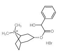 (8,8-dimethyl-8-azoniabicyclo[3.2.1]oct-3-yl) 2-hydroxy-2-phenyl-acetate结构式