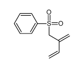 2-methylidenebut-3-enylsulfonylbenzene Structure