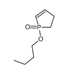 1-butoxy-2,3-dihydro-1λ5-phosphole 1-oxide Structure