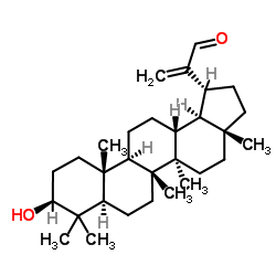 (3β)-3-Hydroxylup-20(30)-en-29-al picture