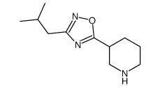 3-(2-methylpropyl)-5-piperidin-3-yl-1,2,4-oxadiazole picture