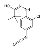 N'-(2-chloro-4-isocyanatophenyl)-2,2-dimethylpropionohydrazide Structure