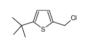2-tert-butyl-5-(chloromethyl)thiophene Structure