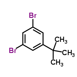 1,3-dibromo-5-tert-butylbenzene structure