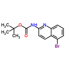 tert-Butyl (5-bromoquinolin-2-yl)carbamate structure