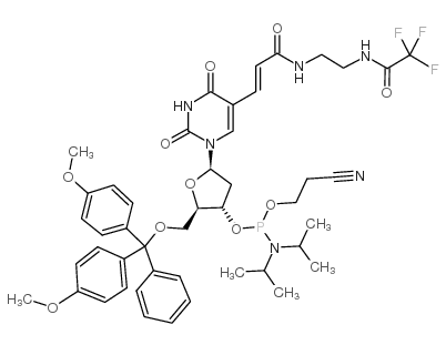 amino-modifier-c 2-dt cep structure