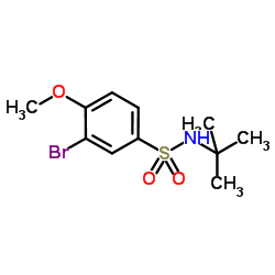 3-Bromo-4-methoxy-N-(2-methyl-2-propanyl)benzenesulfonamide结构式