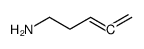 penta-3,4-dien-1-amine Structure