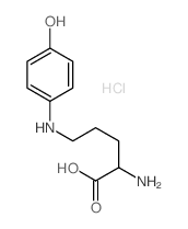 2-amino-5-[(4-hydroxyphenyl)amino]pentanoic acid结构式