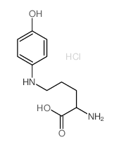 2-amino-5-[(4-hydroxyphenyl)amino]pentanoic acid picture