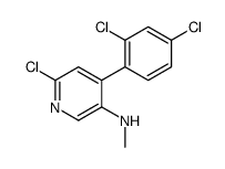 6-chloro-4-(2,4-dichlorophenyl)-N-methylpyridin-3-amine结构式