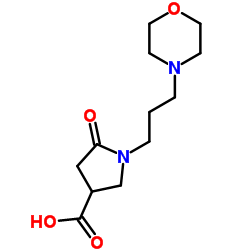 1-[3-(4-Morpholinyl)propyl]-5-oxo-3-pyrrolidinecarboxylic acid Structure