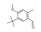 5-tert-butyl-4-methoxy-2-methyl-benzaldehyde结构式