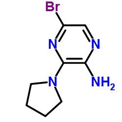 2-氨基-5-溴-3-吡咯烷基吡嗪结构式