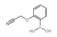 (2-(Cyanomethoxy)phenyl)boronic acid picture