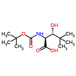 Boc-(2S,3R)-2-amino-3-hydroxy-4,4-dimethylpentanoic acid structure