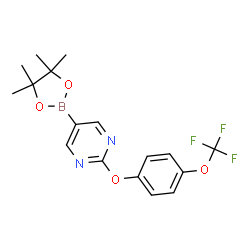 5-(4,4,5,5-四甲基-1,3,2-二氧硼杂环戊烷-2-基)-2-(4-(三氟甲氧基)苯氧基)嘧啶结构式