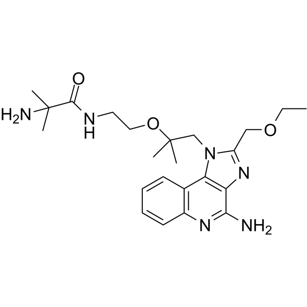 TLR7 agonist 4结构式