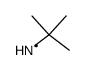 tert-butyl-aminyl结构式